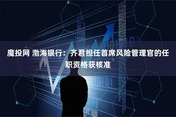 魔投网 渤海银行：齐君担任首席风险管理官的任职资格获核准