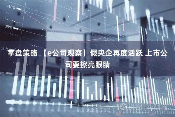 掌盘策略 【e公司观察】假央企再度活跃 上市公司要擦亮眼睛