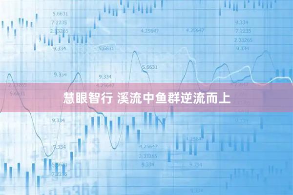 慧眼智行 溪流中鱼群逆流而上