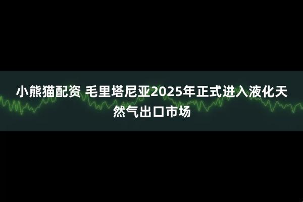 小熊猫配资 毛里塔尼亚2025年正式进入液化天然气出口市场